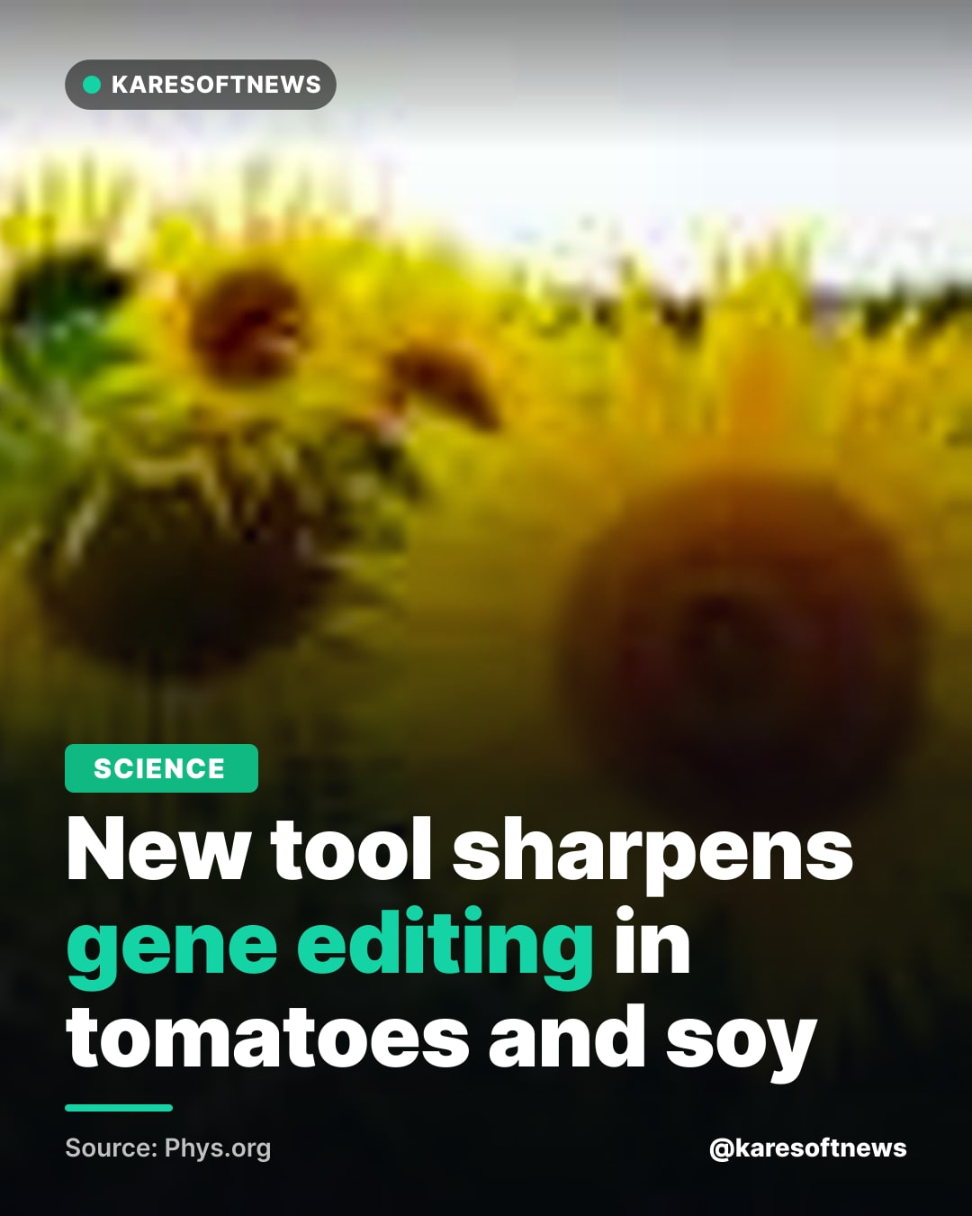 New tool sharpens gene editing in tomatoes and soy